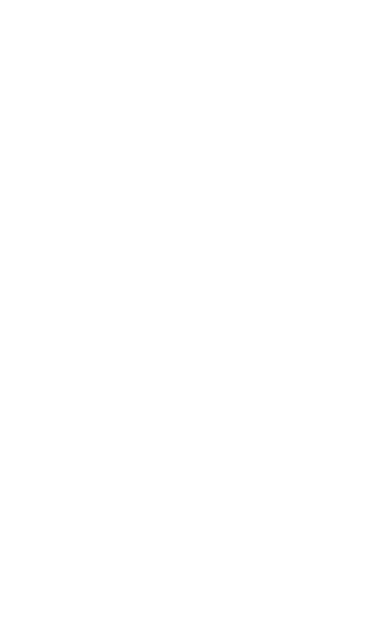 LOCUST 903 55kW